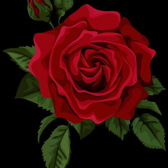 Meet your Posher, Assia - Picture 1 of 1